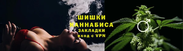 спиды Пересвет