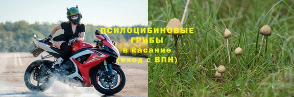 хмурый Магадан