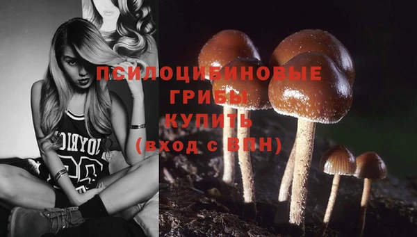 каннабис Майский